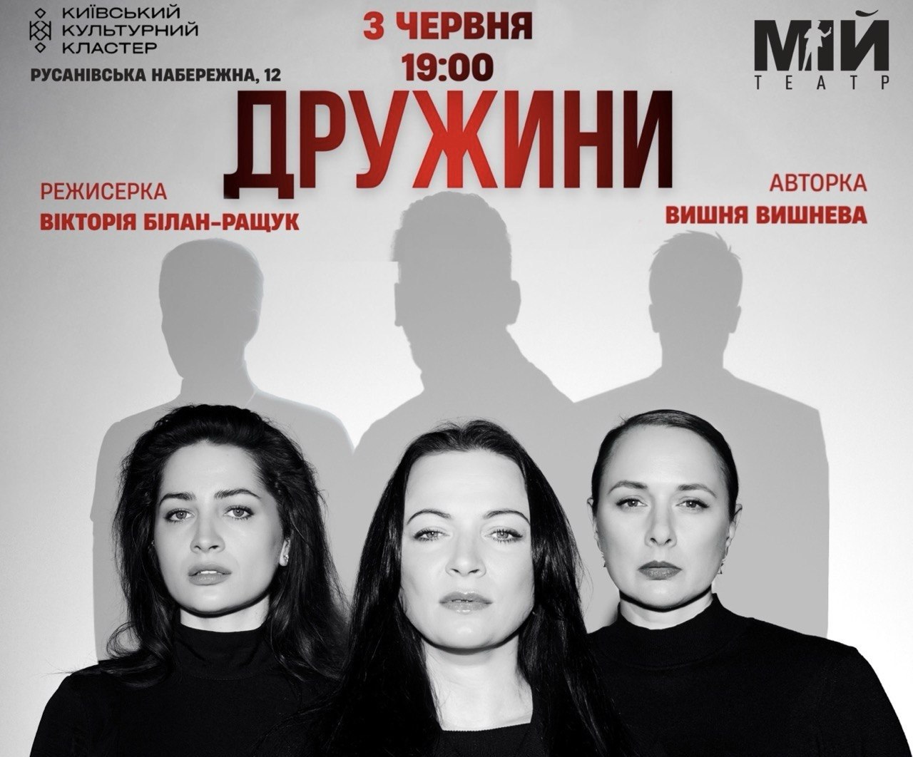 Дружини