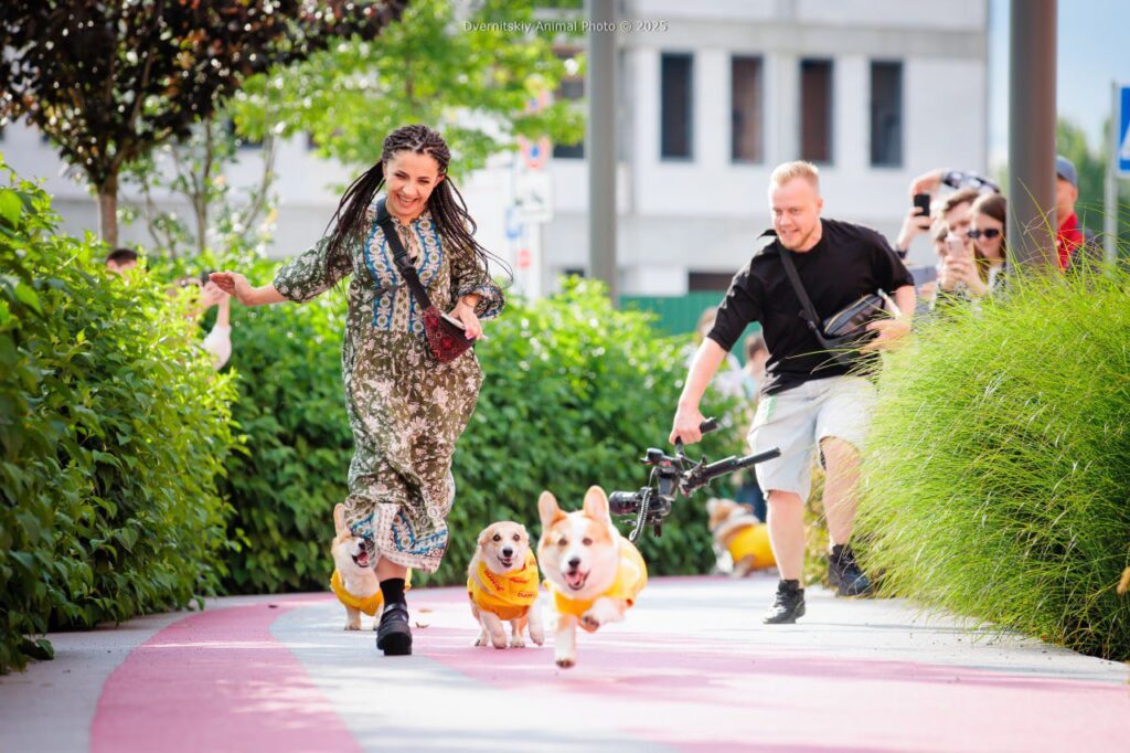 Holy Doggy Place