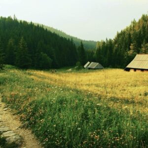 7 маршрутів для хайкінгу в Україні: скільки йти, куди і навіщо