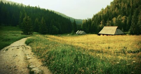 7 маршрутів для хайкінгу в Україні: скільки йти, куди і навіщо