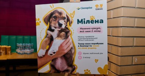 Об’єднатися заради адопції тварин